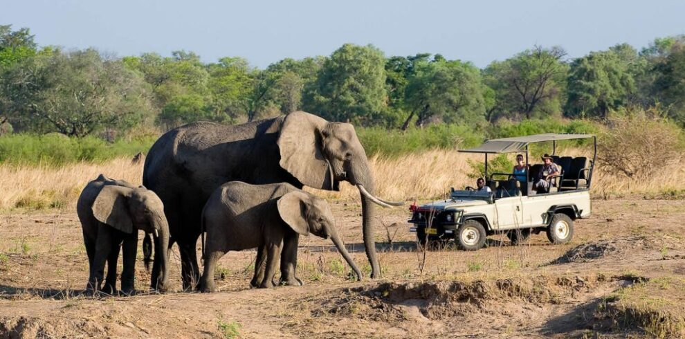 Vicfalls game-drive